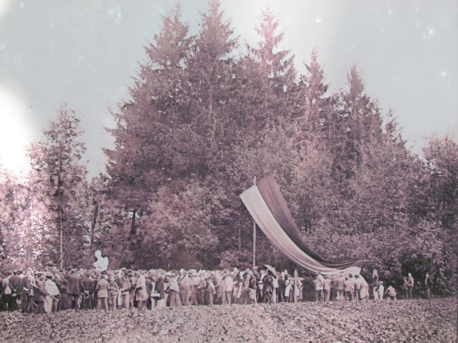 Sadova border=